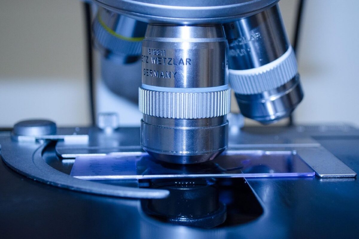 Sommaire sur le microbiote intestinal et la performance sportive