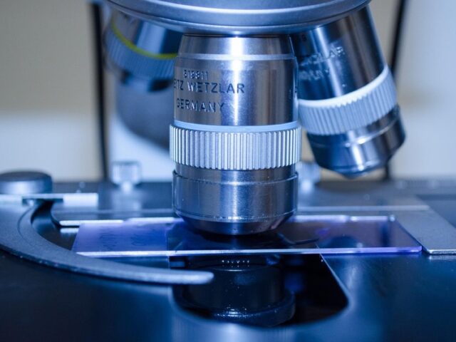 Sommaire sur le microbiote intestinal et la performance sportive
